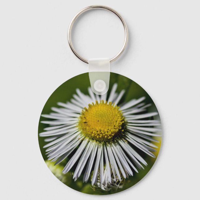 Li'l Daisy Chaveiro (Frente)