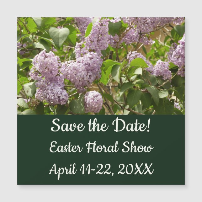 Lilac Bush Lindas Flores de primavera Roxas (Frente)