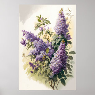 Lilac Flowers Art Impressão Poster