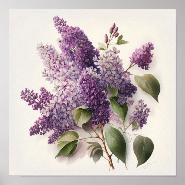 Lilac Flowers Art Impressão Poster (Frente)
