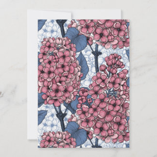 Lilac in pink and blue
