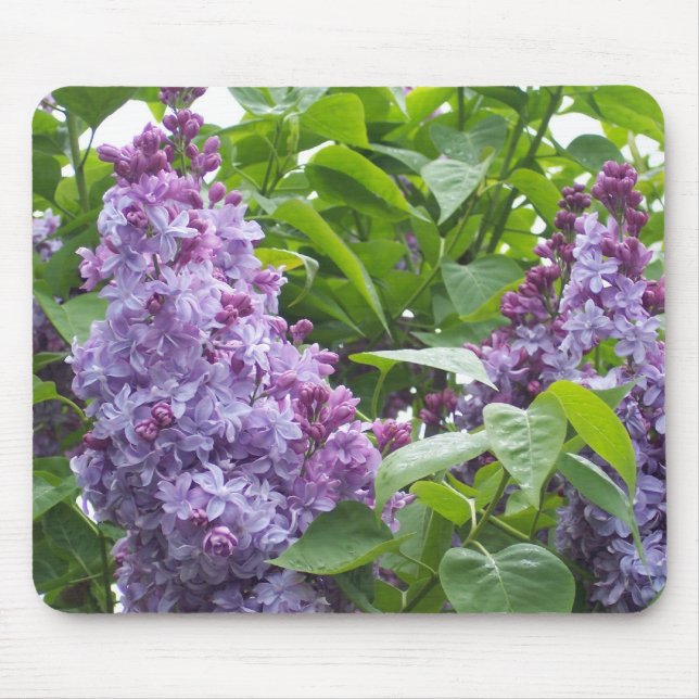 Lilacs Mousepad (Frente)