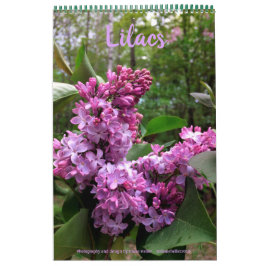Lilacs... TODOS LÍLACS!  calendário fotográfico