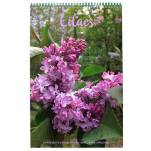 Lilacs... TODOS LÍLACS!  calendário fotográfico