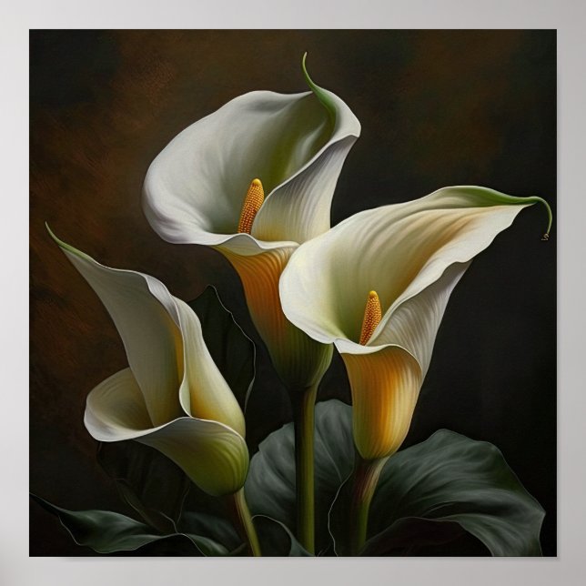 Lilies de Calla Branca Impressão de Arte de Flor P (Frente)