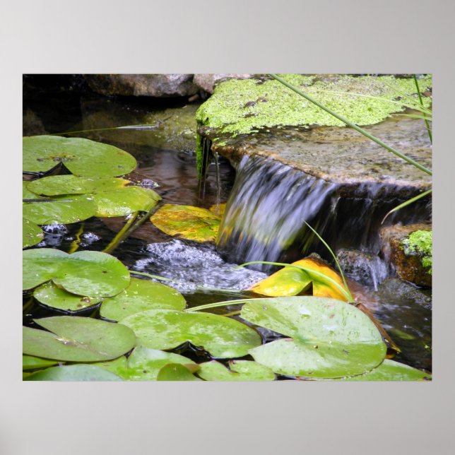Lilly Pad Waterfall Poster (Frente)