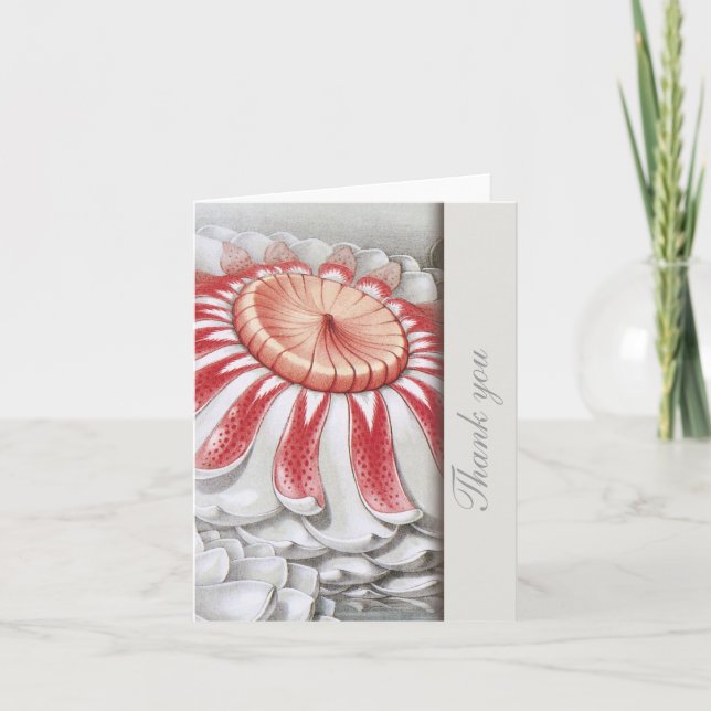 Lilly Pads Floral Obrigado Notas (Frente)