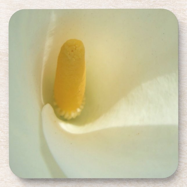 Lilly Porta copos (Frente)