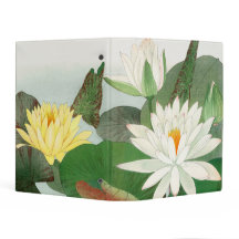 Lily-Água (Ninfhaea lotus)