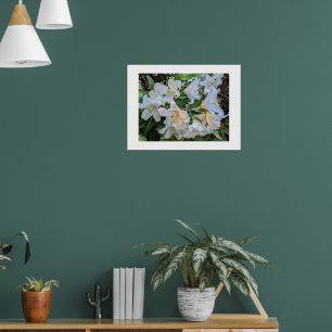 Lily Blooms Floral Floral Poster