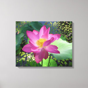 Lily canvas de água rosa
