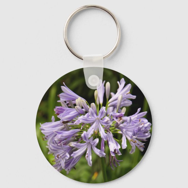 Lily do Chaveiro do Nilo (Frente)