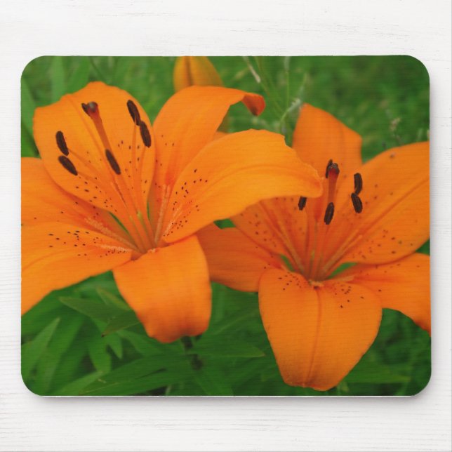 Lily Mousepad (Frente)
