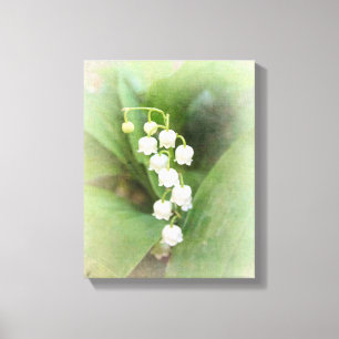 Lily of the Valley Stretched Canvas Print