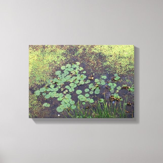Lily Pad na Canvas (Frente)