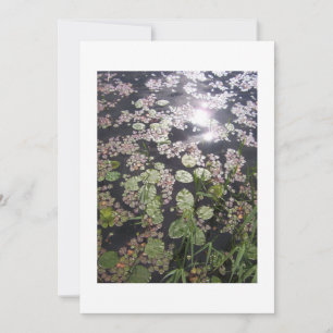 'Lilypads' Convite universal para personalização