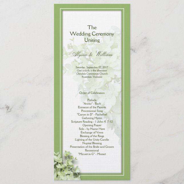 Limelight Tall Hydrangea Wedage Program Modelo (Frente)