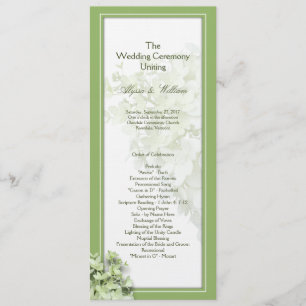 Limelight Tall Hydrangea Wedage Program Modelo