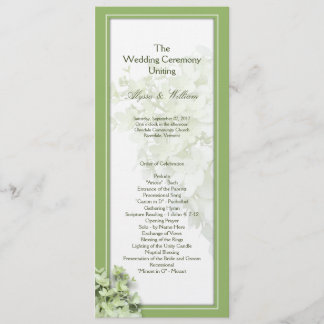 Limelight Tall Hydrangea Wedage Program Modelo