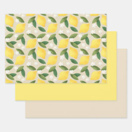 Limões Amarelos, Folhas Verdes e Flores Brancas