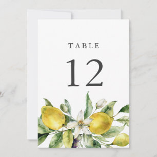 Limões Russos Citrus 5x7 Tabelas Número Cartões