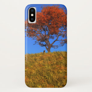 Limpar capas de iphone do Dia do outono