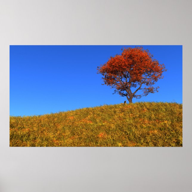 Limpar Impressão do Dia do Outono (Frente)