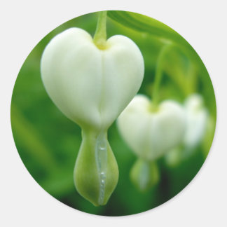 Limpe o adesivo de coração