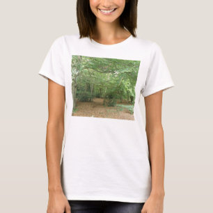 Limpeza Da Madeira T Camisa
