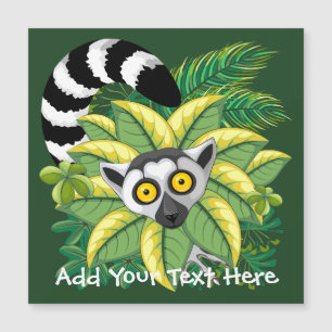 Limures de Madagáscar na selva exótica