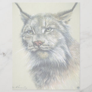 Lince (estudo principal)