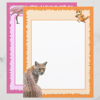 Linces (p1) e Pássaros (P2 - Colhereiros Rosa)