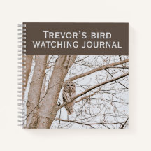 Linda Barragem de Coruja Audubon Birding