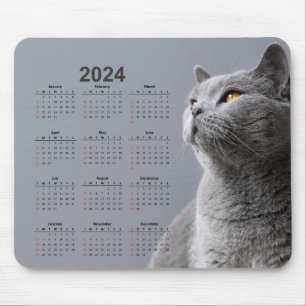 Linda Cinza Cat 2024 Calendar Mouse Pad