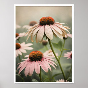 Linda Echinacea Flor Poster Wall Art