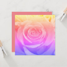 Linda fotografia rosa amarela