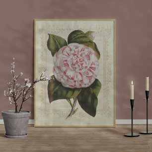 Linda Impressão Botânica Camellia Flor