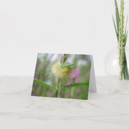 Linda lagarta - Cartão de saudação de Vazio