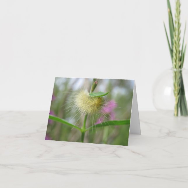 Linda lagarta - Cartão de saudação de Vazio (Frente)