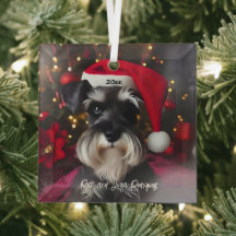Linda miniatura Schnauzer com Santa Hat