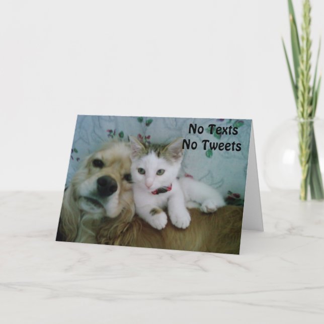 *LINDA* OBTENHA CARTÃO BEM (Frente)