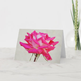 Linda rosa rosa rosa rosa no Cartão de Nota de Art