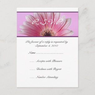 Linda RSVP de Casamento de Gerbera Rosa
