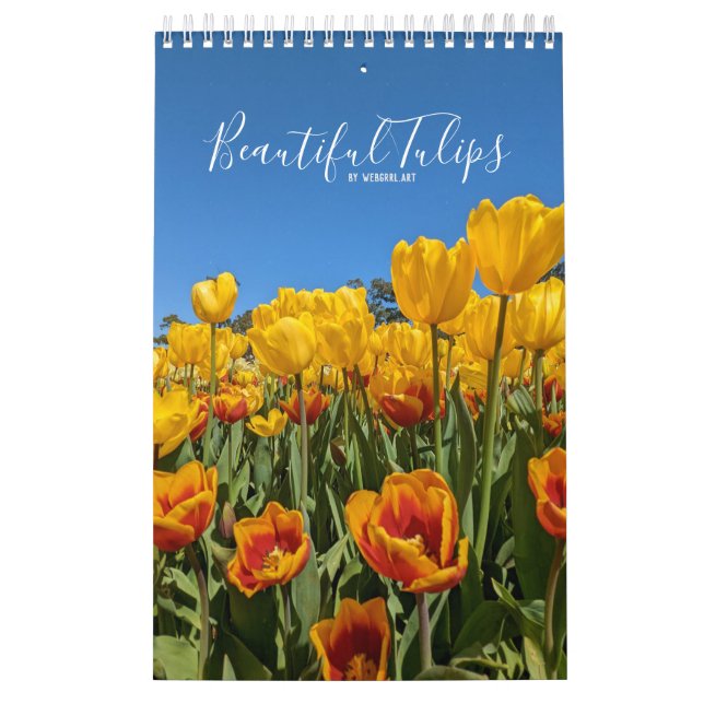 Linda Tulipa Calendário Flor (Capa)