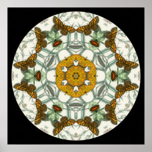 Lindas asas de borboleta mandala poster