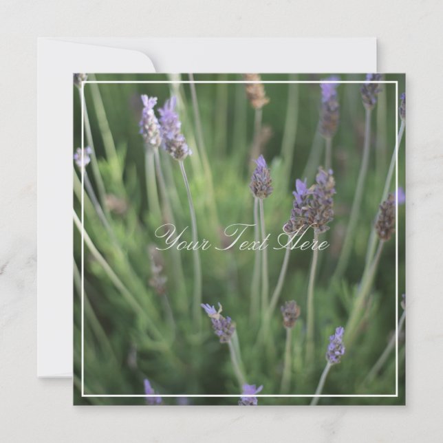 Lindas Flores de Lavanda Cartão Plano com seu Text (Frente)