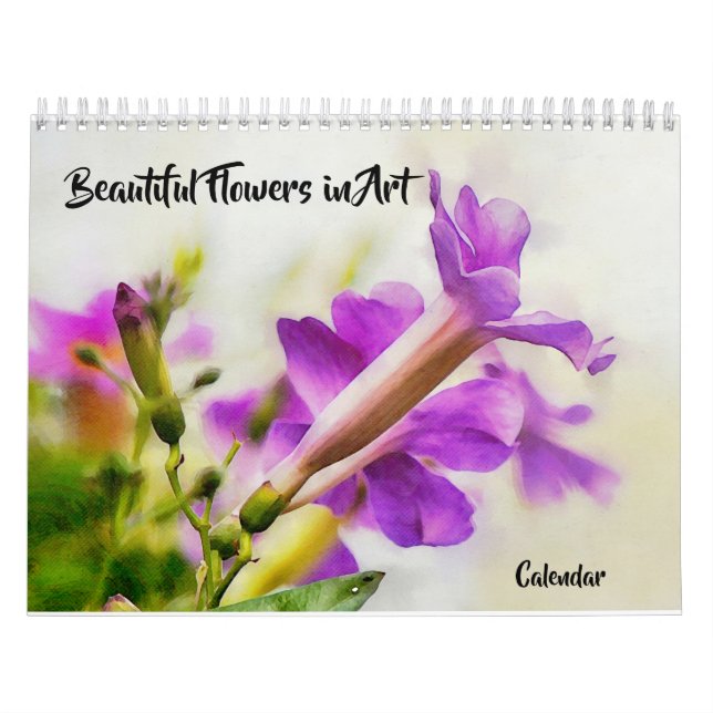 Lindas Flores no Calendário de Arte (Capa)