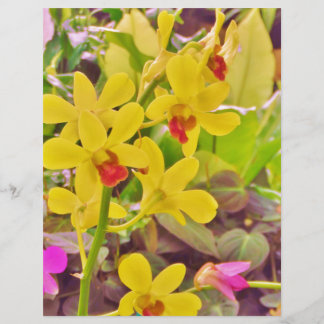 Lindas orquídeas de outono amarelas