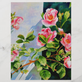 Lindas rosas brancas, cor-de-rosa, cor-de-água flo