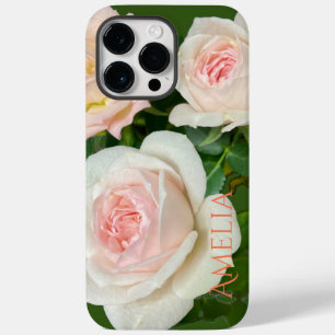 Lindas rosas rosa-brancas românticas